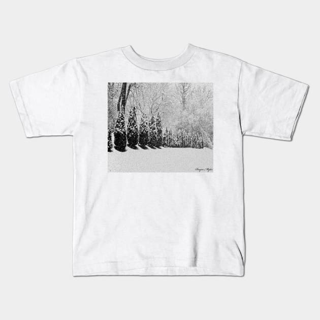 Snow Storm Kids T-Shirt by Overthetopsm